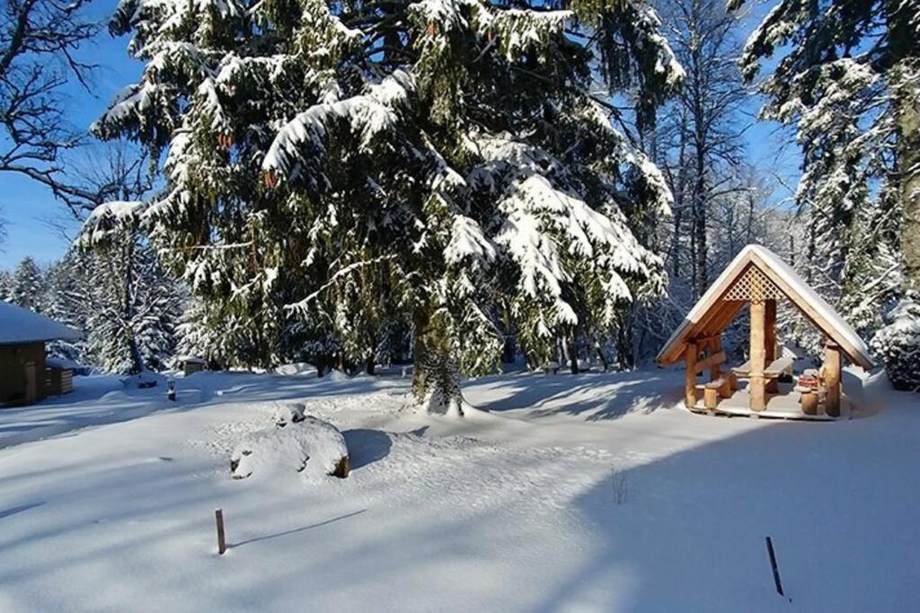 Gerbépal Le Petit Loup, Appartement Neuf Avec Jardin מראה חיצוני תמונה